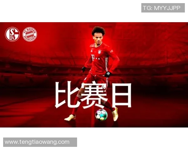 沙尔克与沃尔夫斯堡历史交锋记录分析及战绩回顾